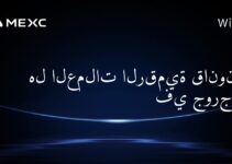 هل العملات الرقمية قانونية في جورجيا؟