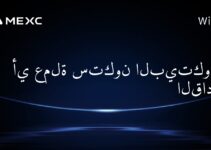 أي عملة ستكون البيتكوين القادمة؟