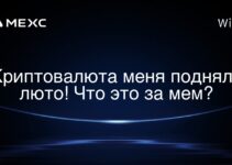 Криптовалюта меня подняла люто! Что это за мем?