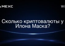 Сколько криптовалюты у Илона Маска?