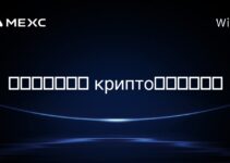 在哥斯达黎加， крипто挖矿合法吗？