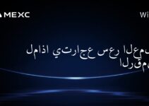 لماذا يتراجع سعر العملات الرقمية؟