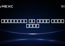 پولونیکس از کدام کشور است؟