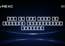 اگر در سال ۲۰۱۷ در بیت‌کوین سرمایه‌گذاری می‌کردم؟