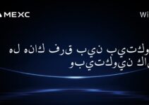 هل هناك فرق بين بيتكوين وبيتكوين كاش؟