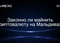 Законно ли майнить криптовалюту на Мальдивах?