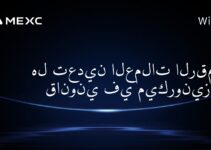 هل تعدين العملات الرقمية قانوني في ميكرونيزيا؟