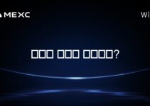 크립토 곰이란 무엇인가?