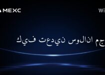كيف تعدين سولانا مجانًا؟