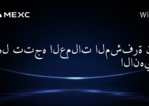 هل تتجه العملات المشفرة نحو الانهيار؟