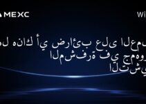 هل هناك أي ضرائب على العملات المشفرة في جمهورية التشيك؟