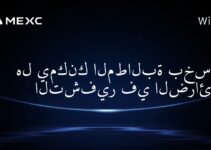 هل يمكنك المطالبة بخسائر التشفير في الضرائب؟