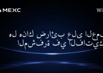 هل هناك ضرائب على العملات المشفرة في الفاتيكان؟