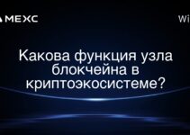Какова функция узла блокчейна в криптоэкосистеме?