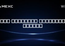 آیا رمزارزها ناپایدار هستند؟