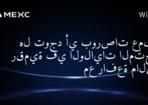 هل توجد أي بورصات عملات رقمية في الولايات المتحدة مع رافعة مالية؟