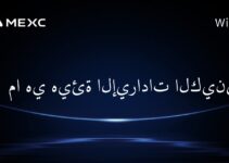 ما هي هيئة الإيرادات الكينية؟