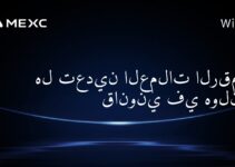 هل تعدين العملات الرقمية قانوني في هولندا؟