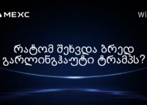 რატომ შეხვდა ბრედ გარლინგჰაუტი ტრამპს?