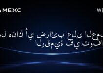 هل هناك أي ضرائب على العملات الرقمية في توفالو؟