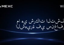 ما هي شركات التشفير الشهيرة في سنغافورة؟