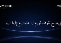 هل العملات المشفرة خطيرة؟