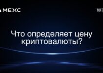 Что определяет цену криптовалюты?
