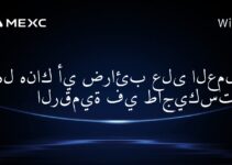 هل هناك أي ضرائب على العملات الرقمية في طاجيكستان؟
