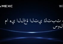 ما هي اللغة التي كتبت بها سولانا؟