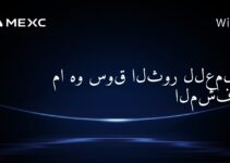 ما هو سوق الثور للعملات المشفرة؟