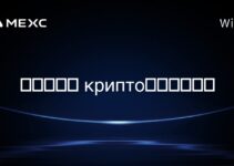 在赞比亚， крипто挖矿合法吗？