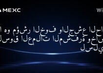 ما هو مؤشر الخوف والجشع الحالي لسوق العملات المشفرة وخاصةً لسلينا؟