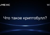 Что такое криптобулл?