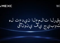 هل تعدين العملات الرقمية قانوني في جيبوتي؟