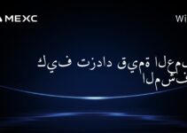 كيف تزداد قيمة العملات المشفرة؟