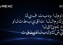 كيف تبدو المواقع والتطبيقات اللامركزية القائمة على تقنيةالبلوكشين ؟