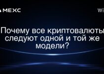 Почему все криптовалюты следуют одной и той же модели?