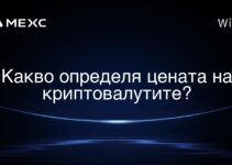 Какво определя цената на криптовалутите?
