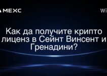 Как да получите крипто лиценз в Сейнт Винсент и Гренадини?