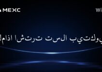 لماذا اشترت تسلا بيتكوين؟