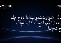 كم عدد البيتكوين التي تمتلكها حكومة المملكة المتحدة؟