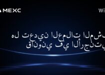 هل تعدين العملات المشفرة قانوني في الأرجنتين؟
