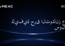 كيفية حرق التوكنز على سولانا؟