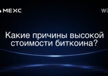 Какие причины высокой стоимости биткоина?