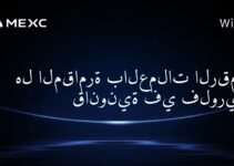 هل المقامرة بالعملات الرقمية قانونية في فلوريدا؟
