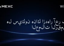 هل سيكون هناك ازدهار آخر في العملات الرقمية؟
