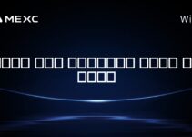 کدام سکه بیشترین ارزش را دارد