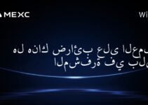 هل هناك ضرائب على العملات المشفرة في بليز؟