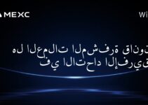 هل العملات المشفرة قانونية في الاتحاد الإفريقي؟