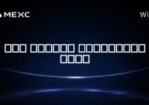 آیا سولانا غیرمتمرکز است؟